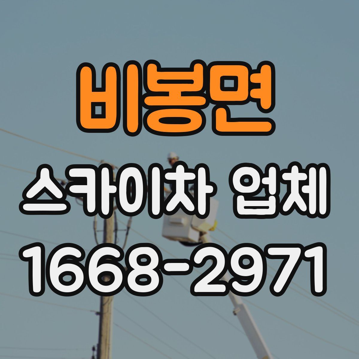 비봉면 스카이차 업체