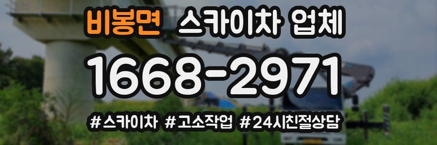 비봉면 스카이차 업체