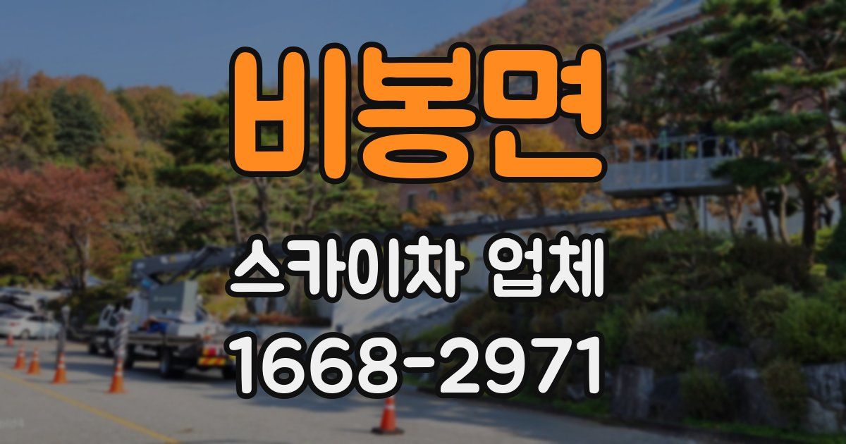 비봉면 스카이차 업체