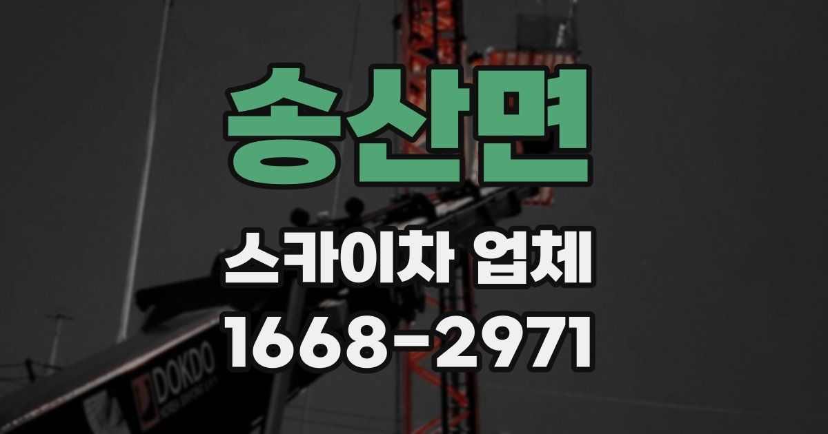 송산면 스카이차 업체