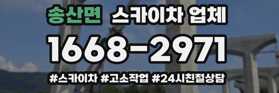 송산면 스카이차 업체