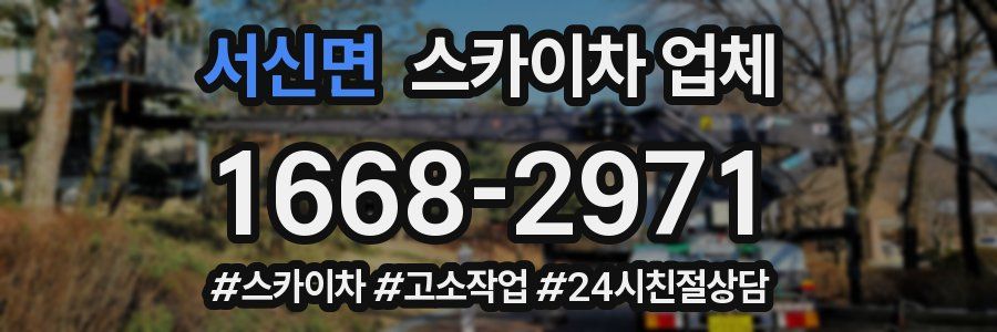 서신면 스카이차 업체