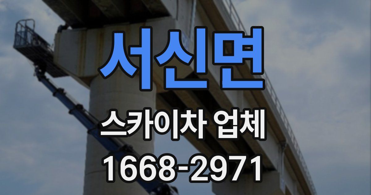 서신면 스카이차 업체