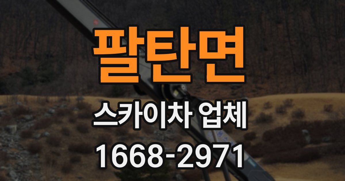 팔탄면 스카이차 업체