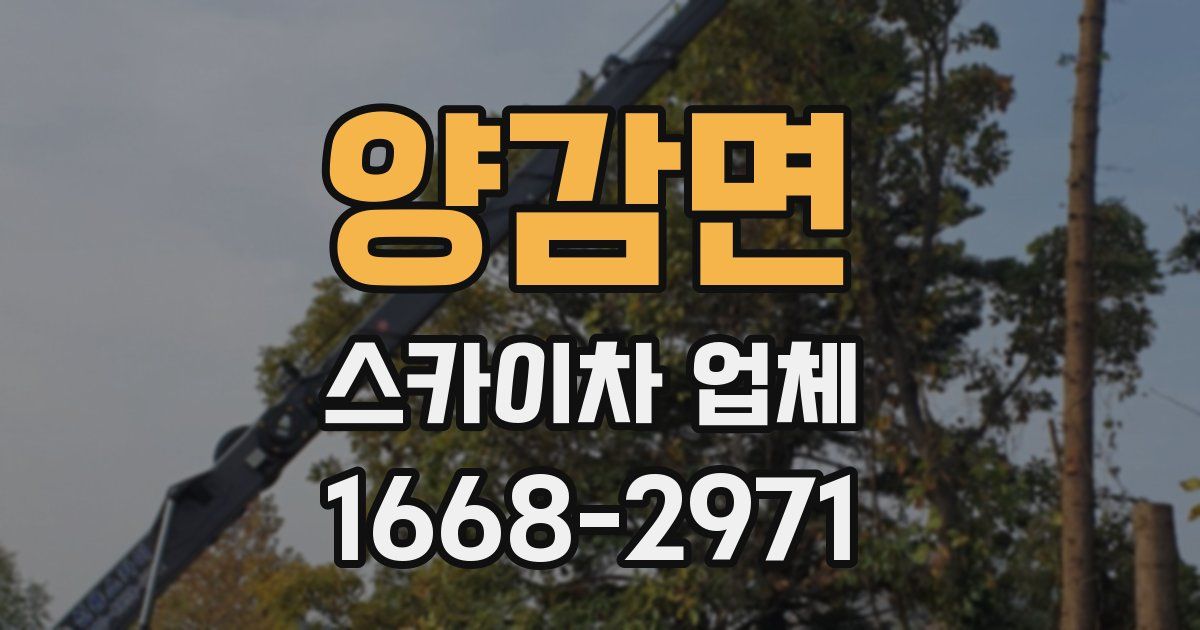 양감면 스카이차 업체