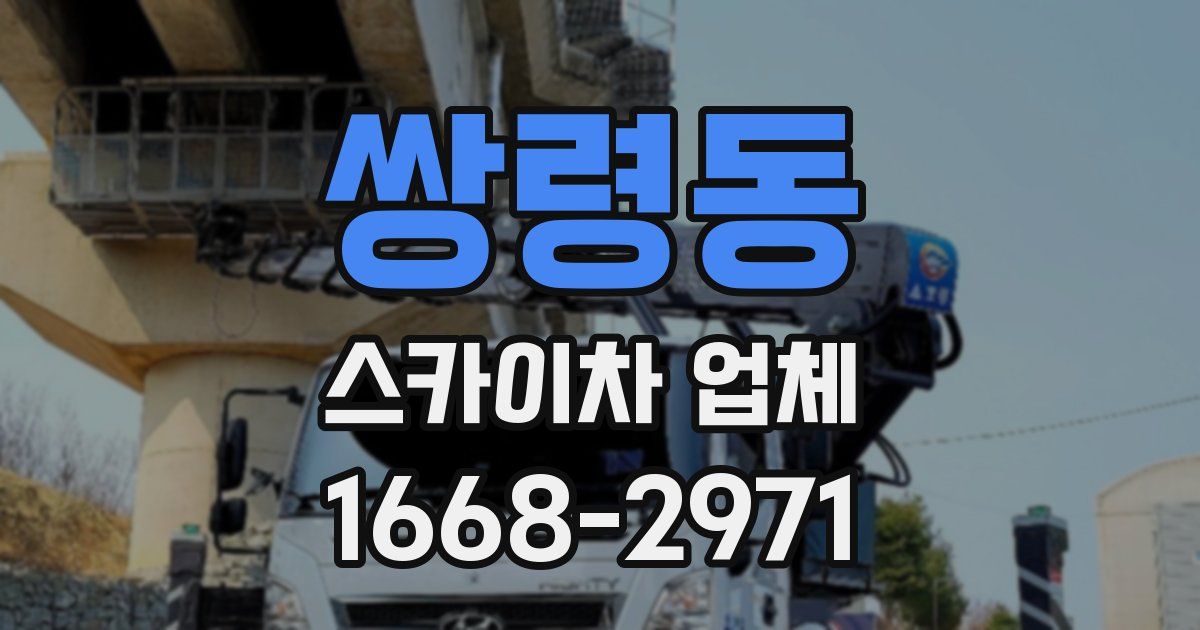 쌍령동 스카이차 업체