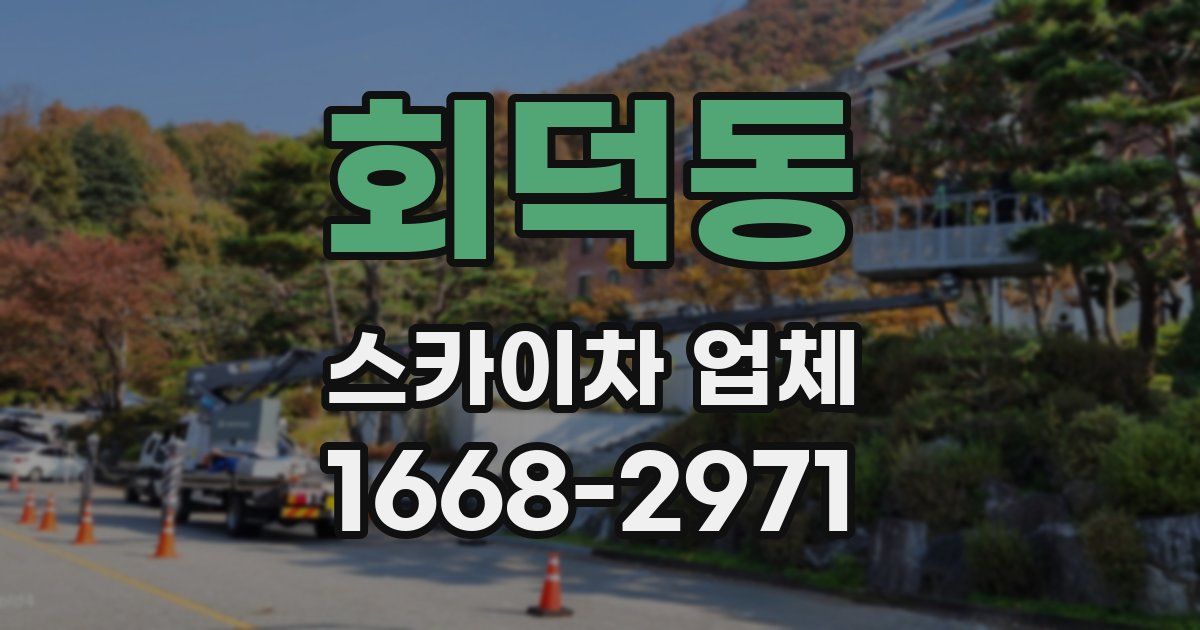 회덕동 스카이차 업체