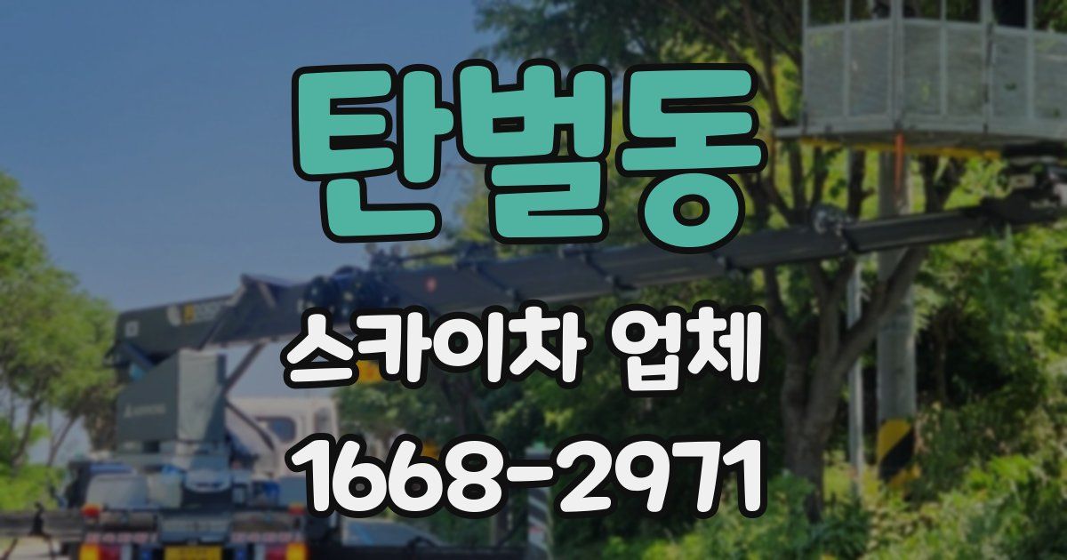 탄벌동 스카이차 업체