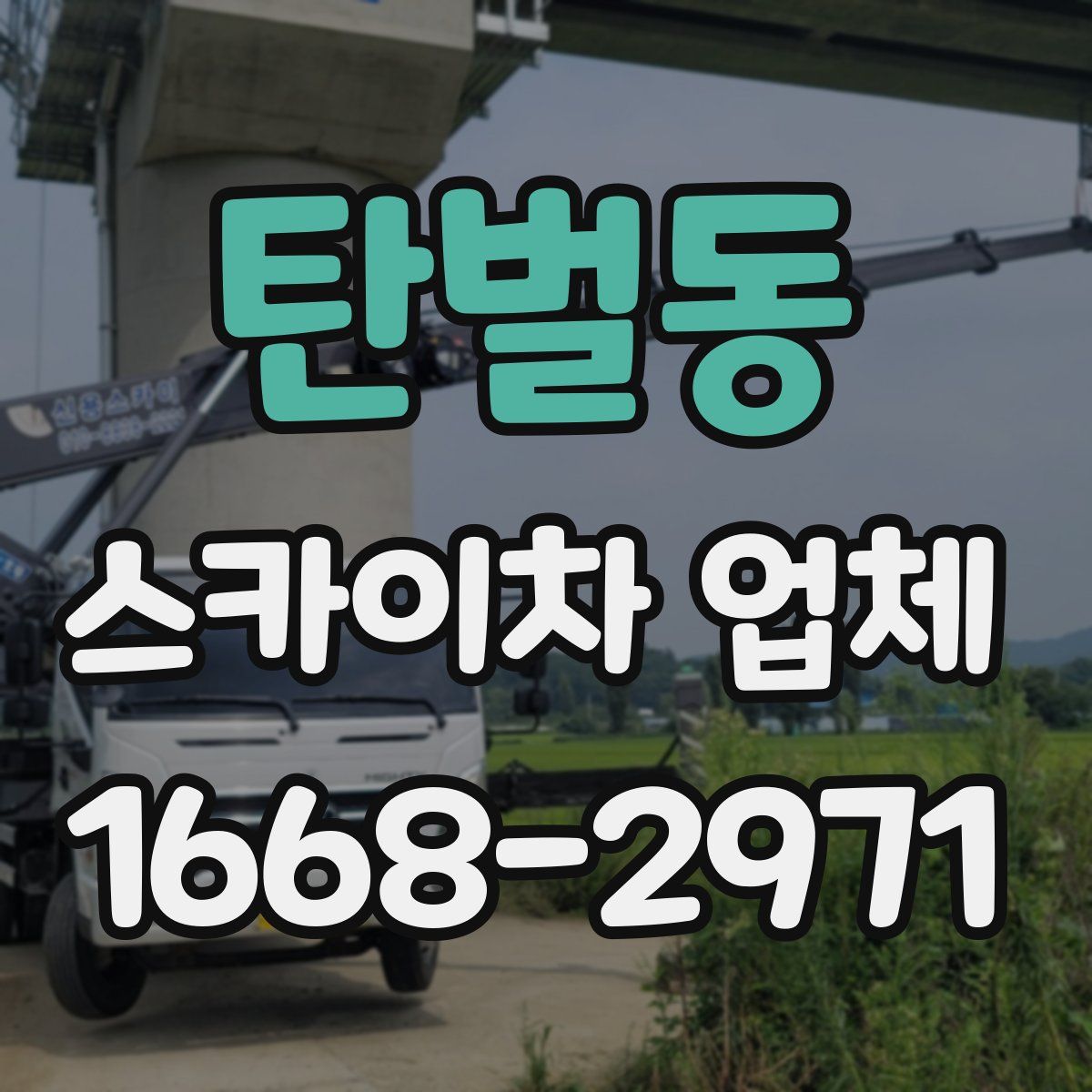 탄벌동 스카이차 업체