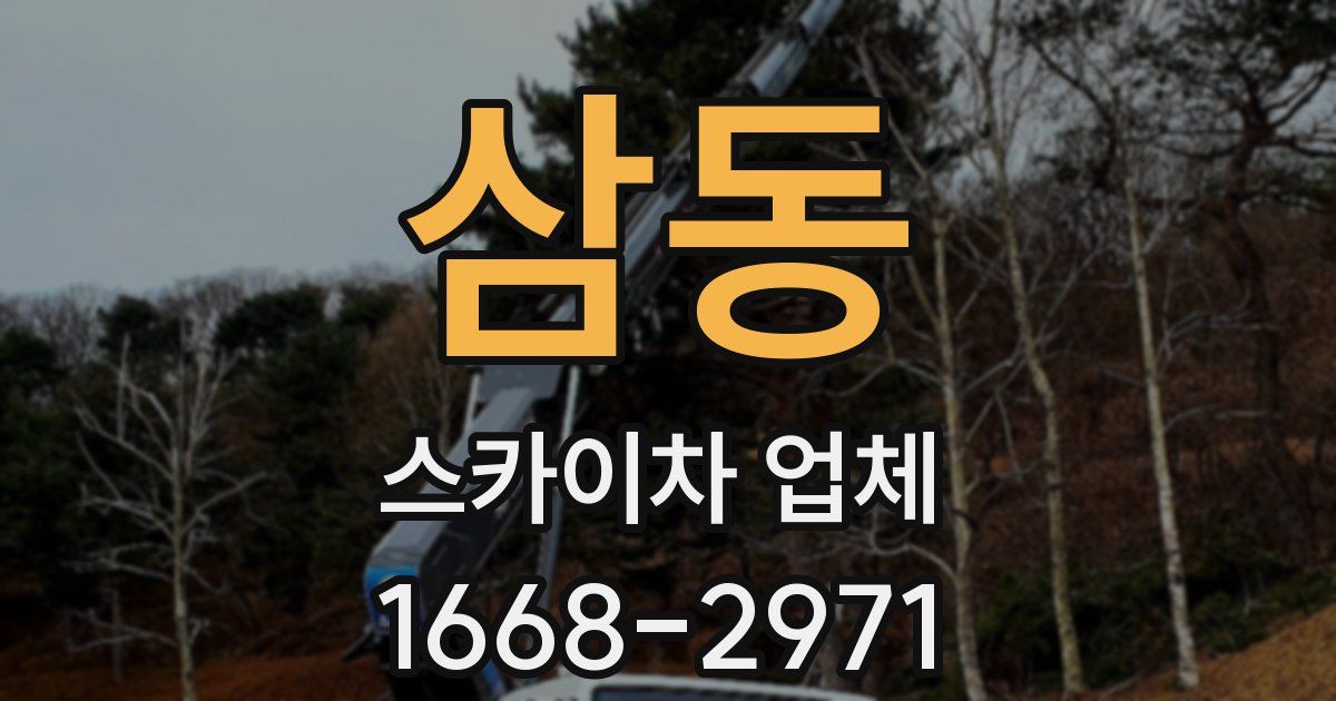 삼동 스카이차 업체