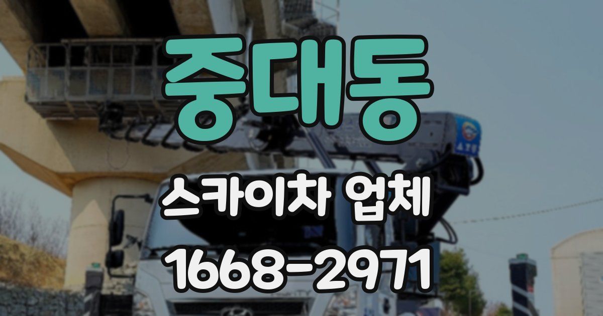 중대동 스카이차 업체