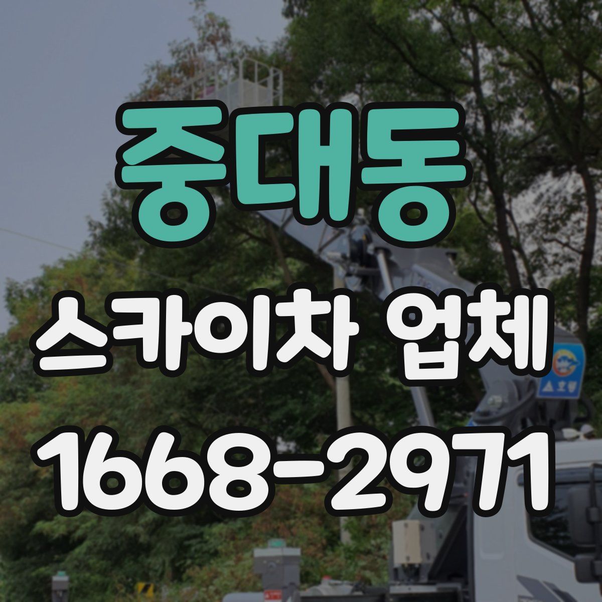 중대동 스카이차 업체