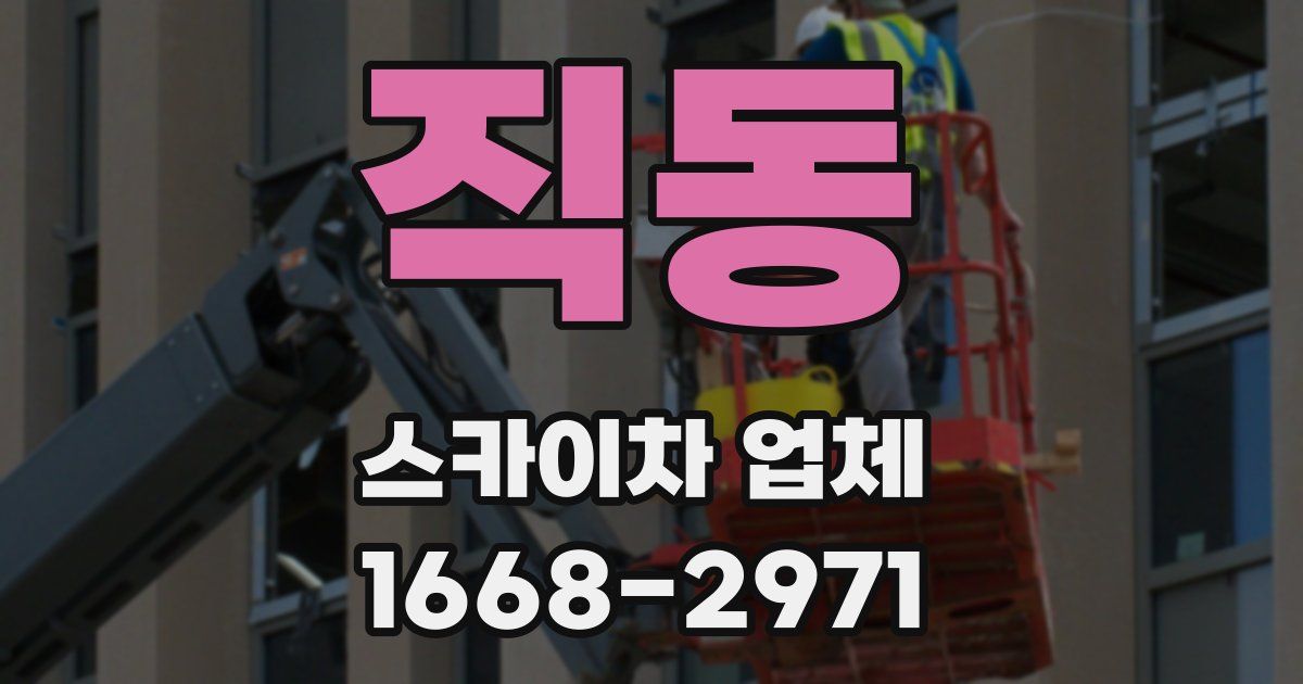 직동 스카이차 업체