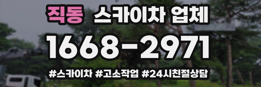직동 스카이차 업체