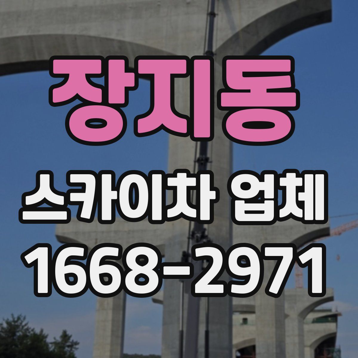 장지동 스카이차 업체