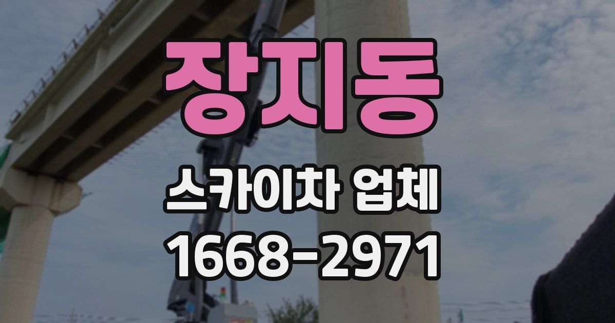 장지동 스카이차 업체