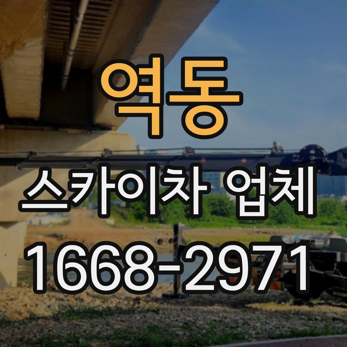 역동 스카이차 업체