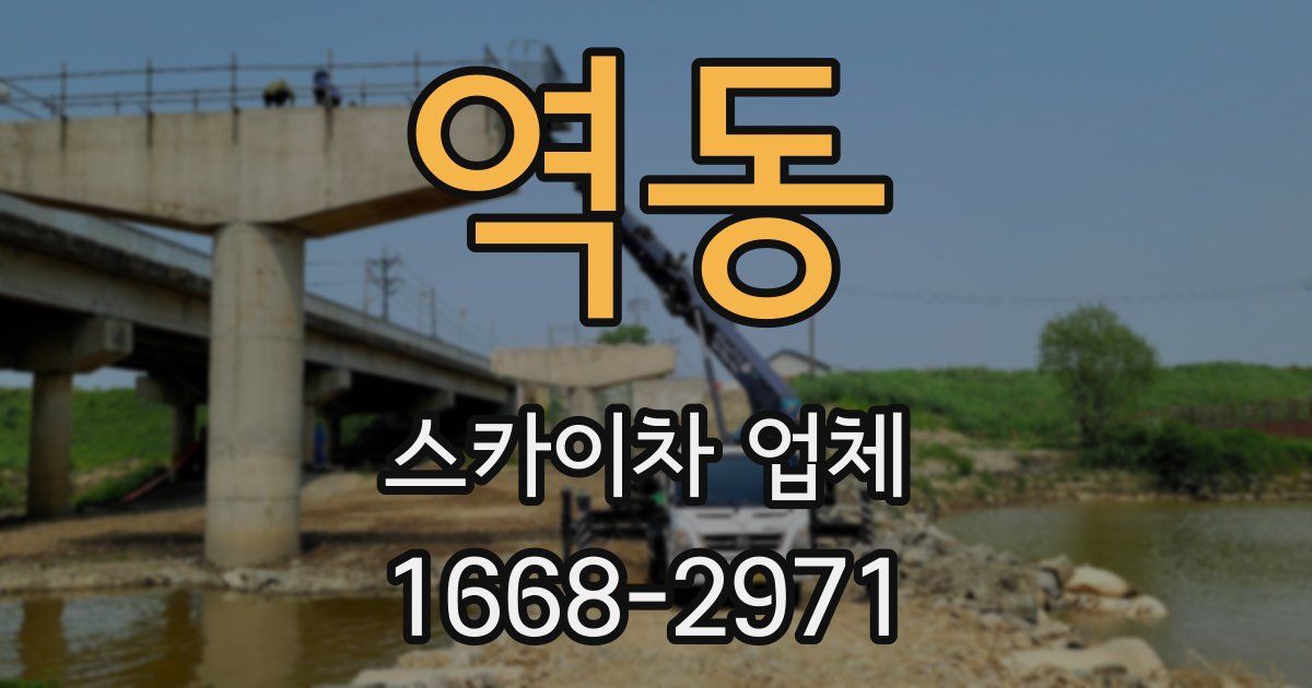 역동 스카이차 업체
