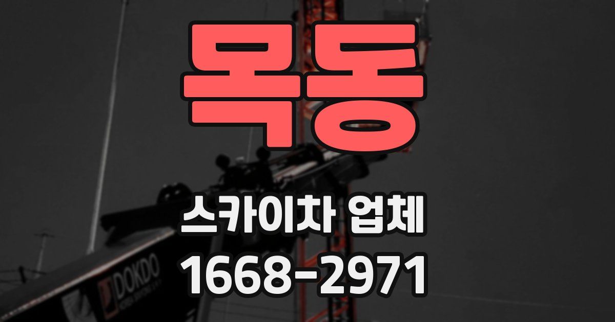 목동 스카이차 업체
