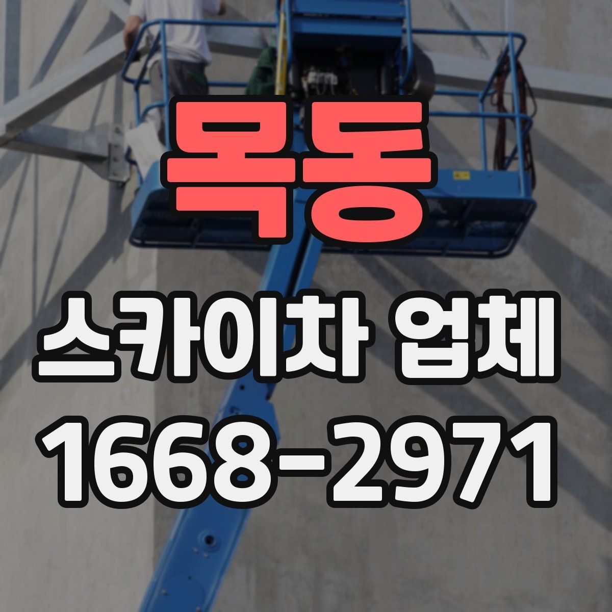 목동 스카이차 업체