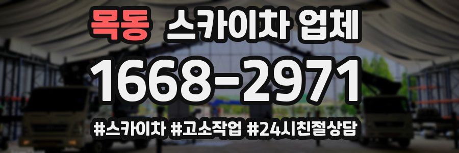 목동 스카이차 업체