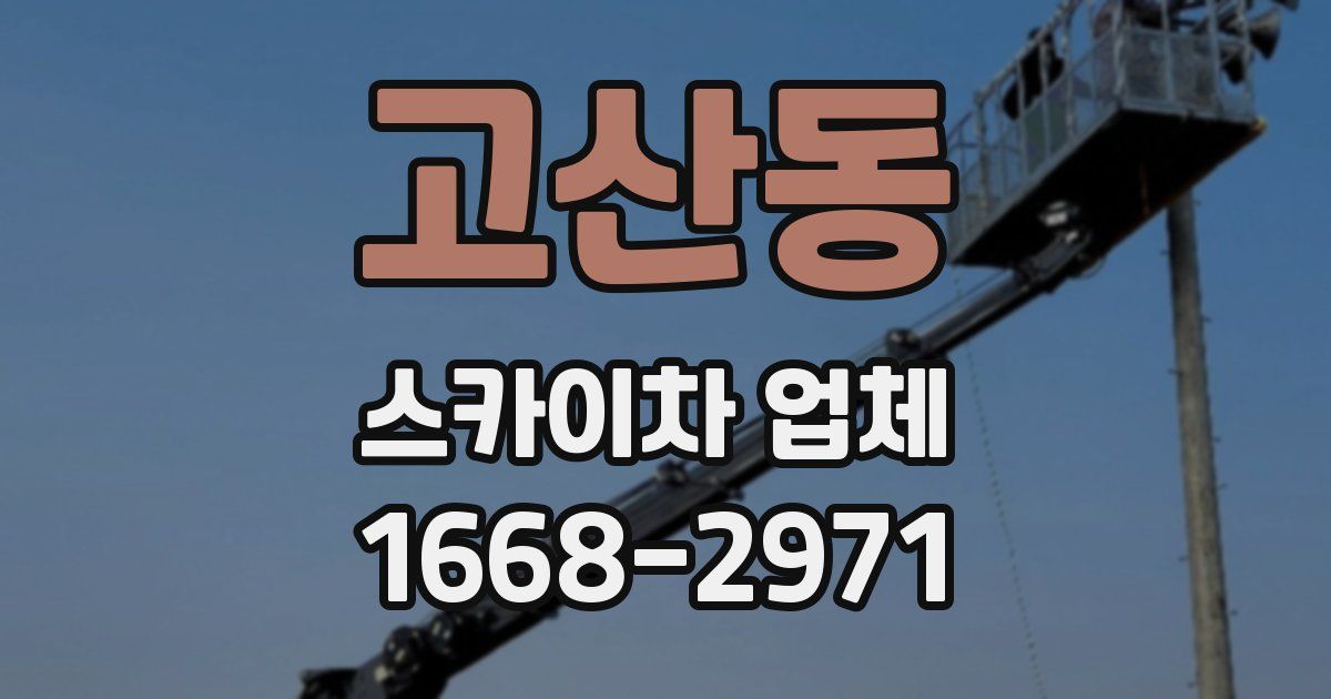 고산동 스카이차 업체