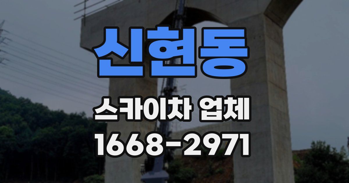 신현동 스카이차 업체