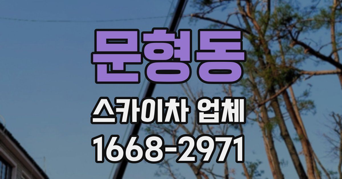 문형동 스카이차 업체