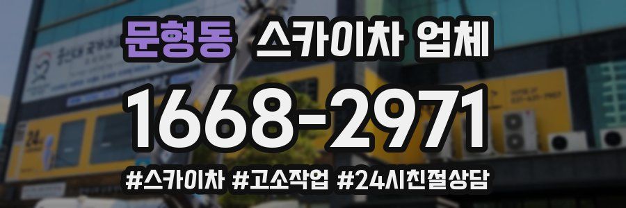 문형동 스카이차 업체