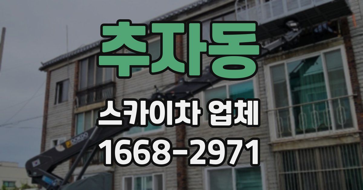 추자동 스카이차 업체