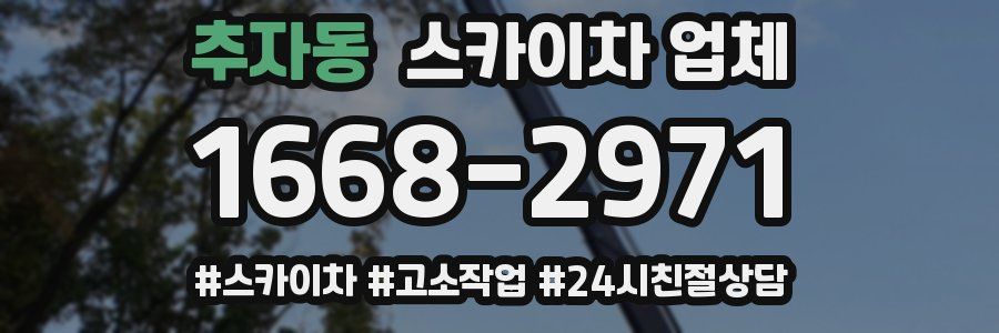 추자동 스카이차 업체