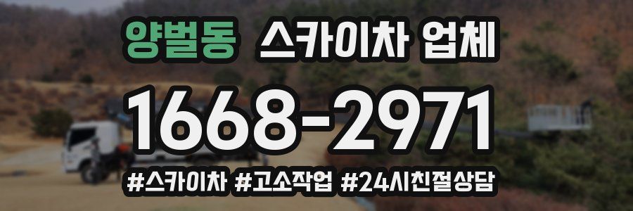 양벌동 스카이차 업체