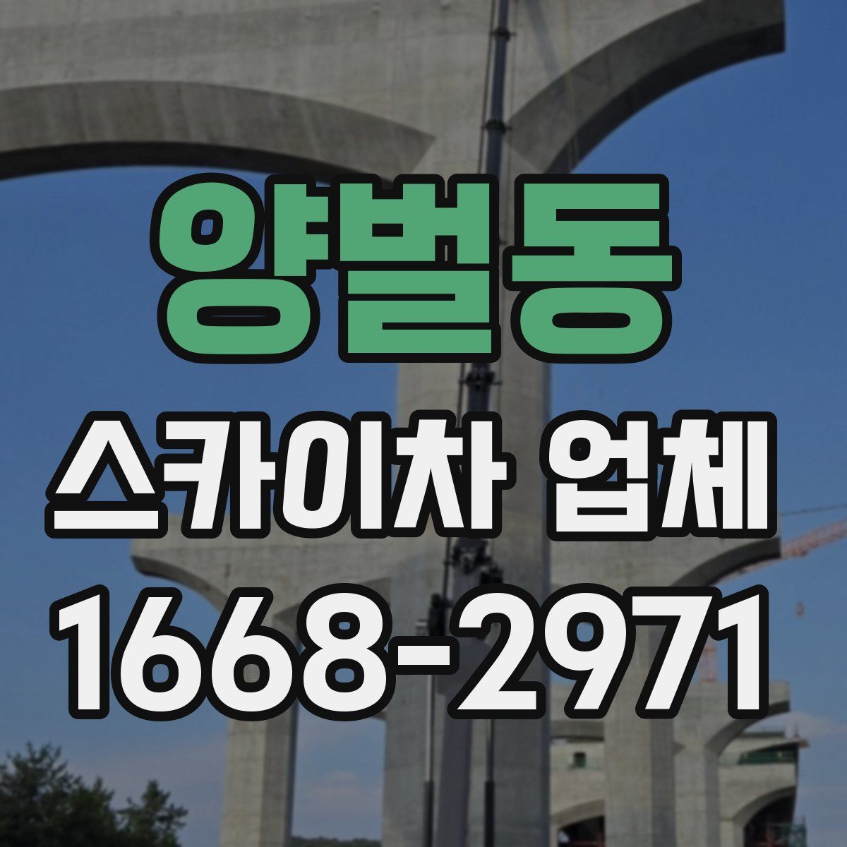 양벌동 스카이차 업체