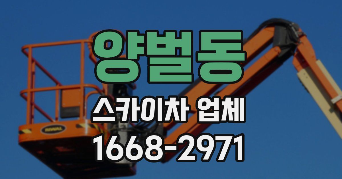 양벌동 스카이차 업체