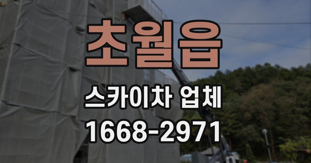 초월읍 스카이차 업체