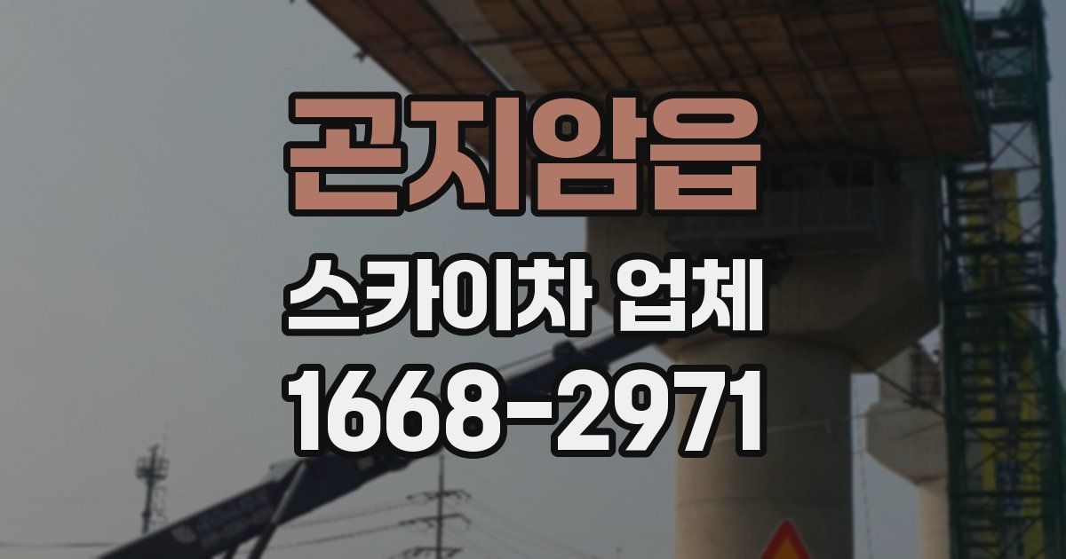 곤지암읍 스카이차 업체