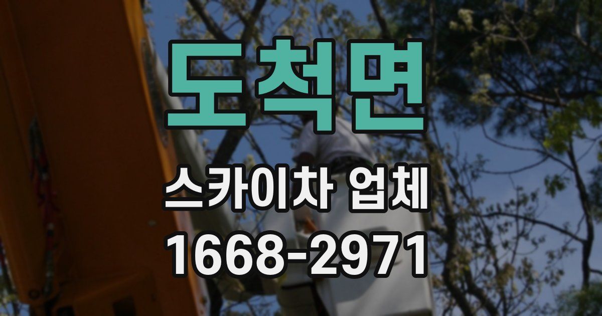 도척면 스카이차 업체