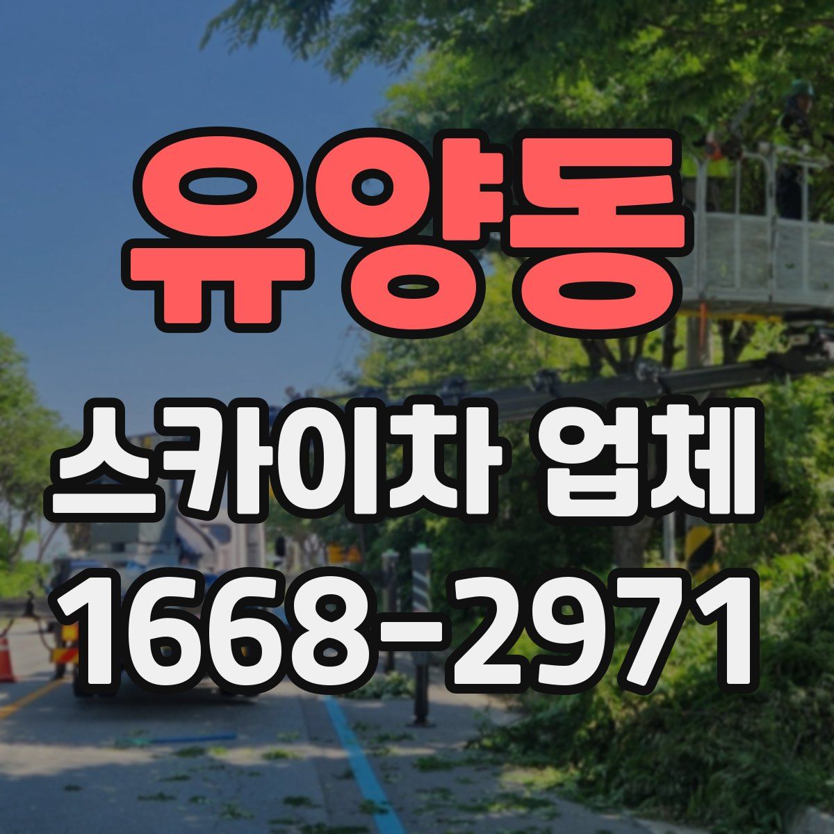 유양동 스카이차 업체