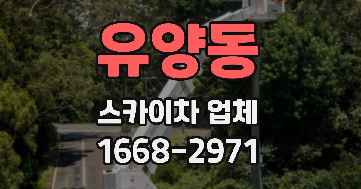 유양동 스카이차 업체