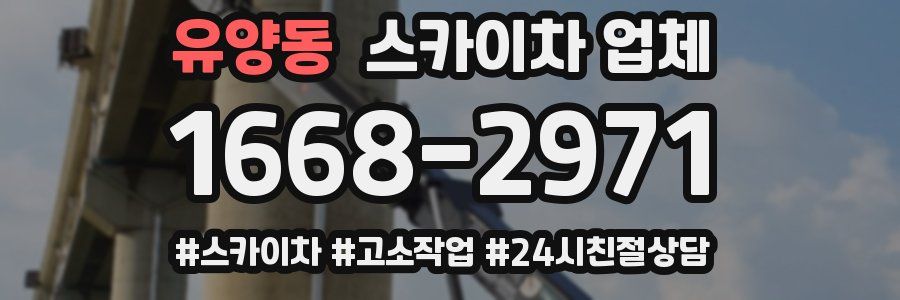 유양동 스카이차 업체