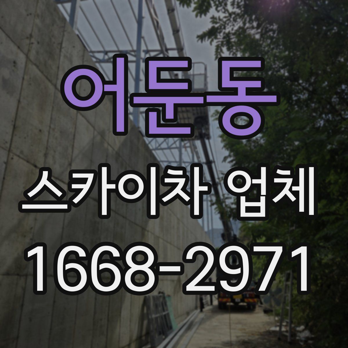 어둔동 스카이차 업체