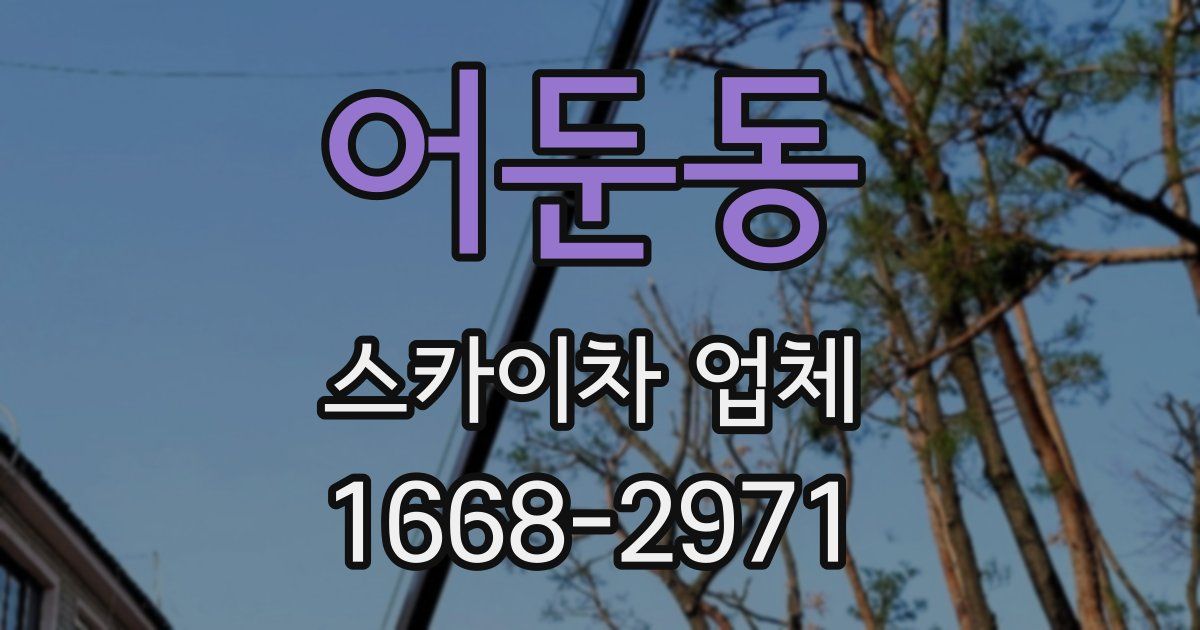 어둔동 스카이차 업체