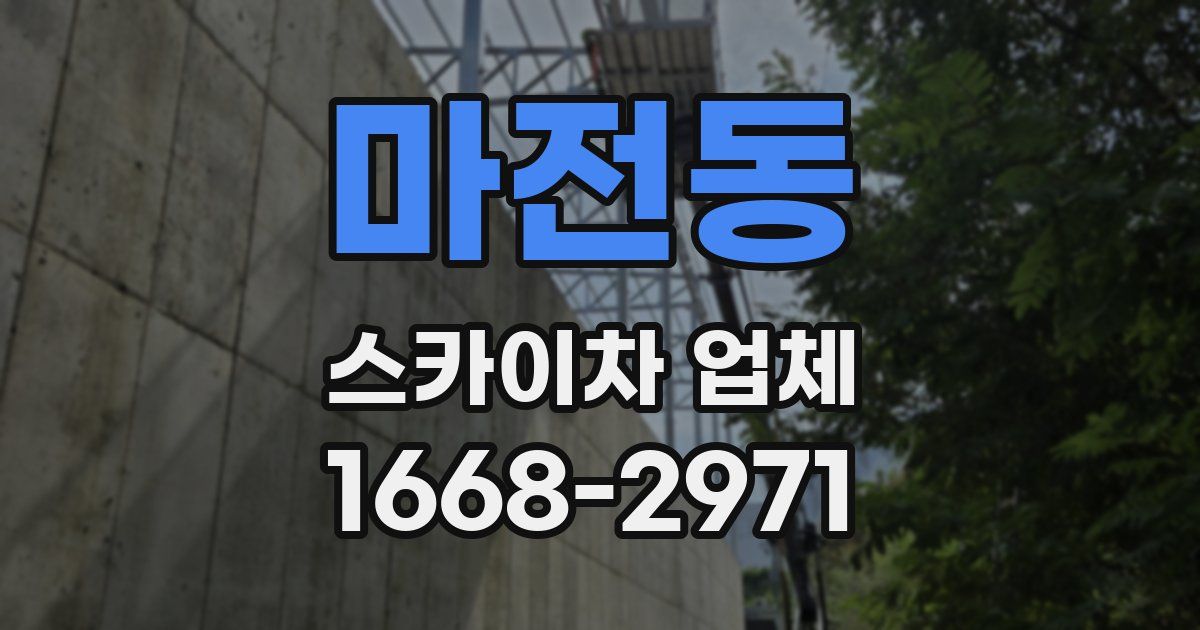 마전동 스카이차 업체
