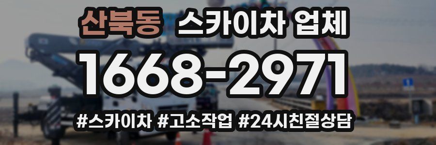산북동 스카이차 업체