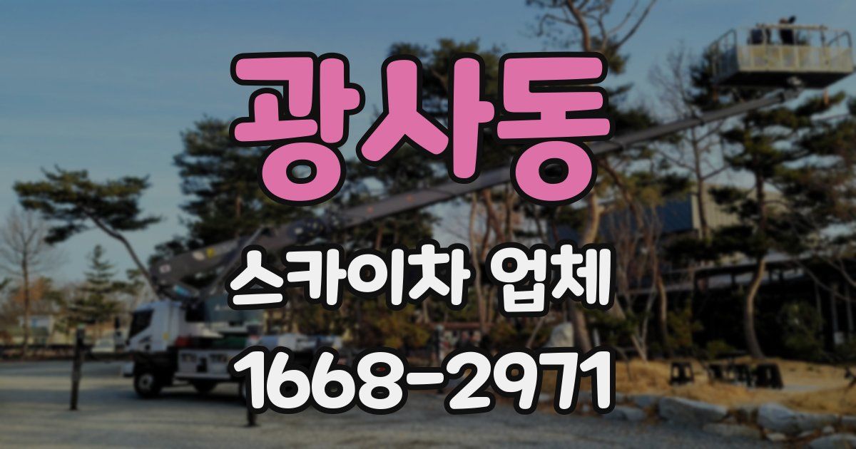 광사동 스카이차 업체