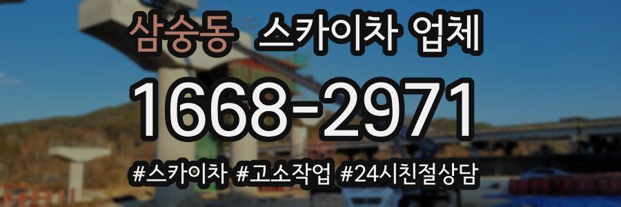 삼숭동 스카이차 업체