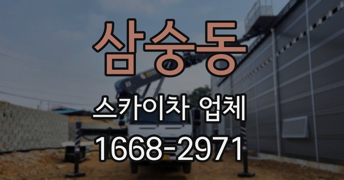 삼숭동 스카이차 업체