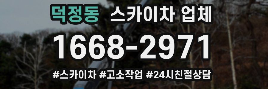 덕정동 스카이차 업체