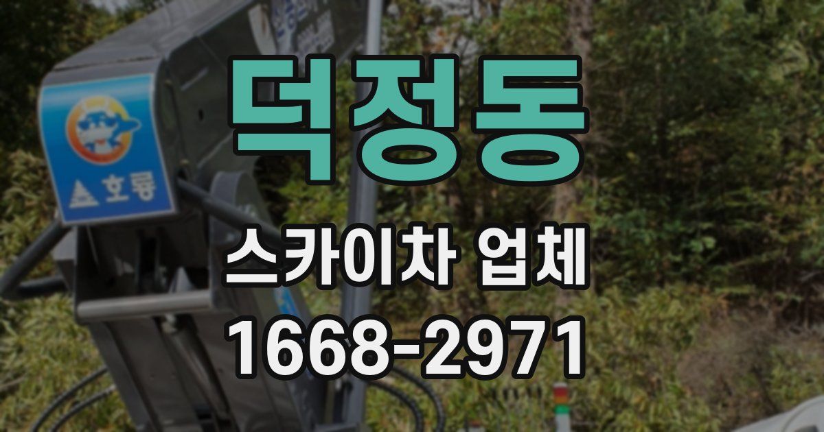 덕정동 스카이차 업체
