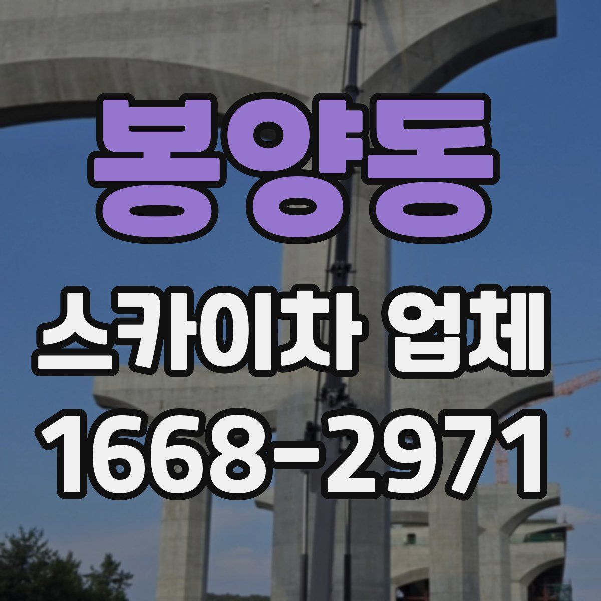 봉양동 스카이차 업체